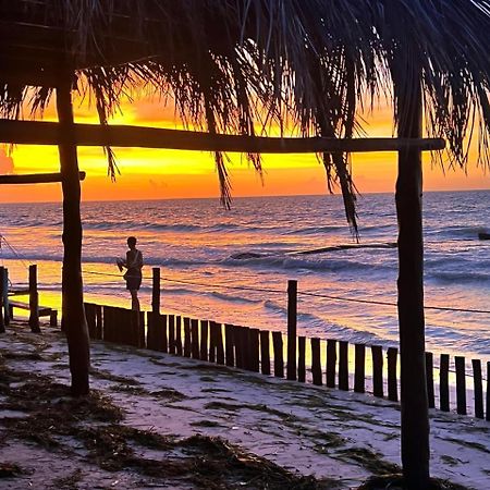 Casa Tom Tom - Adults Only Bed and Breakfast Isla Holbox Exteriör bild