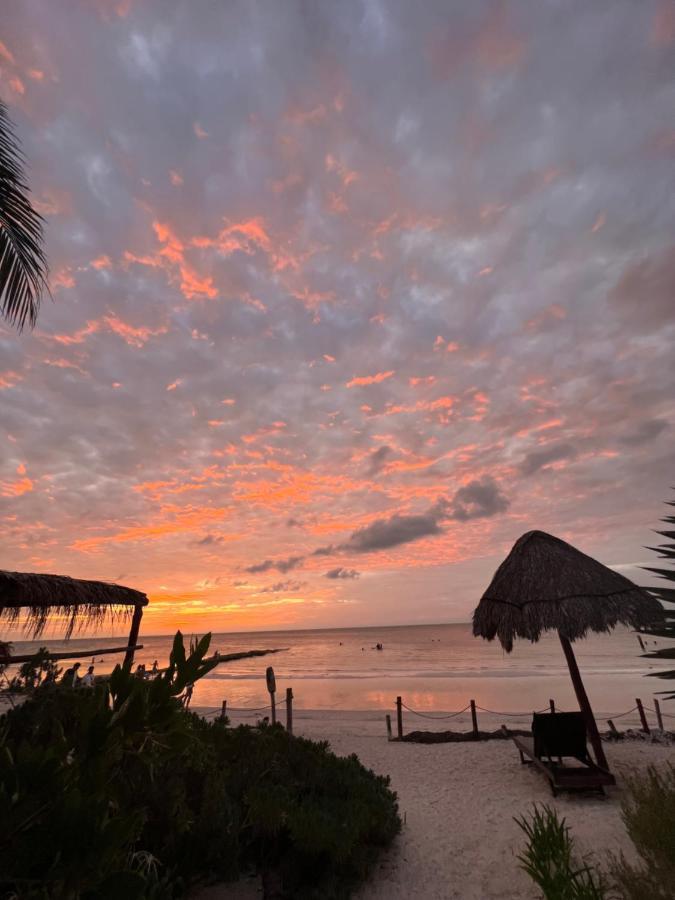 Casa Tom Tom - Adults Only Bed and Breakfast Isla Holbox Exteriör bild