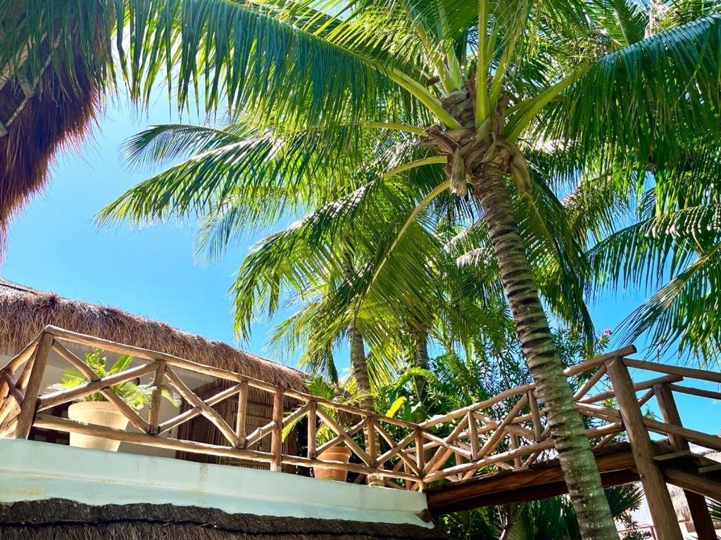 Casa Tom Tom - Adults Only Bed and Breakfast Isla Holbox Exteriör bild