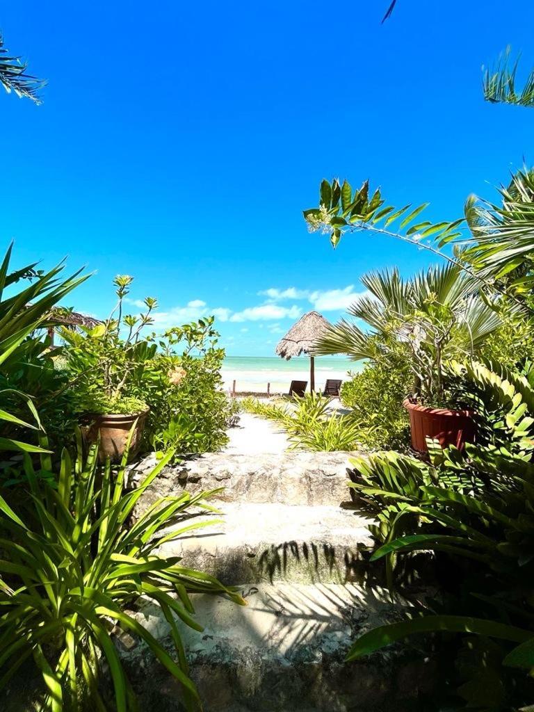 Casa Tom Tom - Adults Only Bed and Breakfast Isla Holbox Exteriör bild