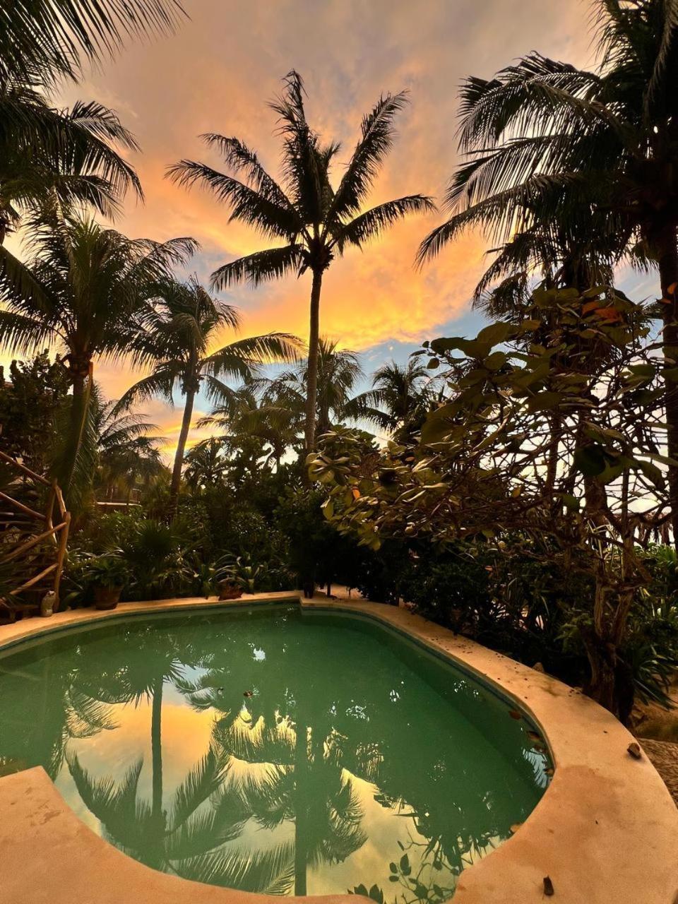 Casa Tom Tom - Adults Only Bed and Breakfast Isla Holbox Exteriör bild